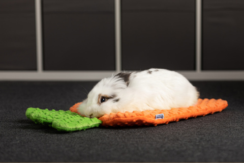 Carrot pillow bed for rabbit, guinea pig