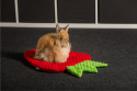 Legowisko poduszka truskawka dla królika, świnki morskiej