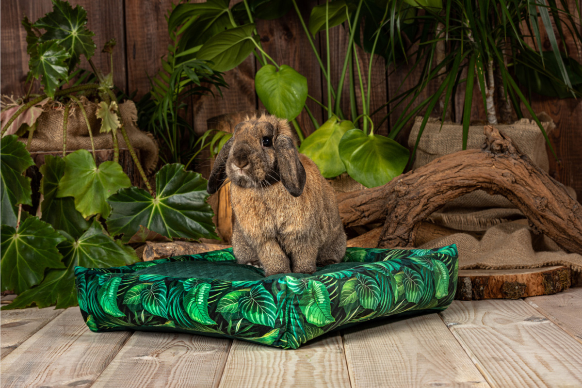 Legowisko z poduszką XL "Rajski Ogród" dla królików, fretek