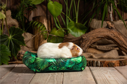 Bed with cushion for guinea pigs, chinchillas, rats