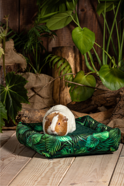 Bed with cushion for guinea pigs, chinchillas, rats