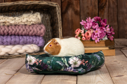 Bed with pillow for guinea pigs, chinchillas, rats