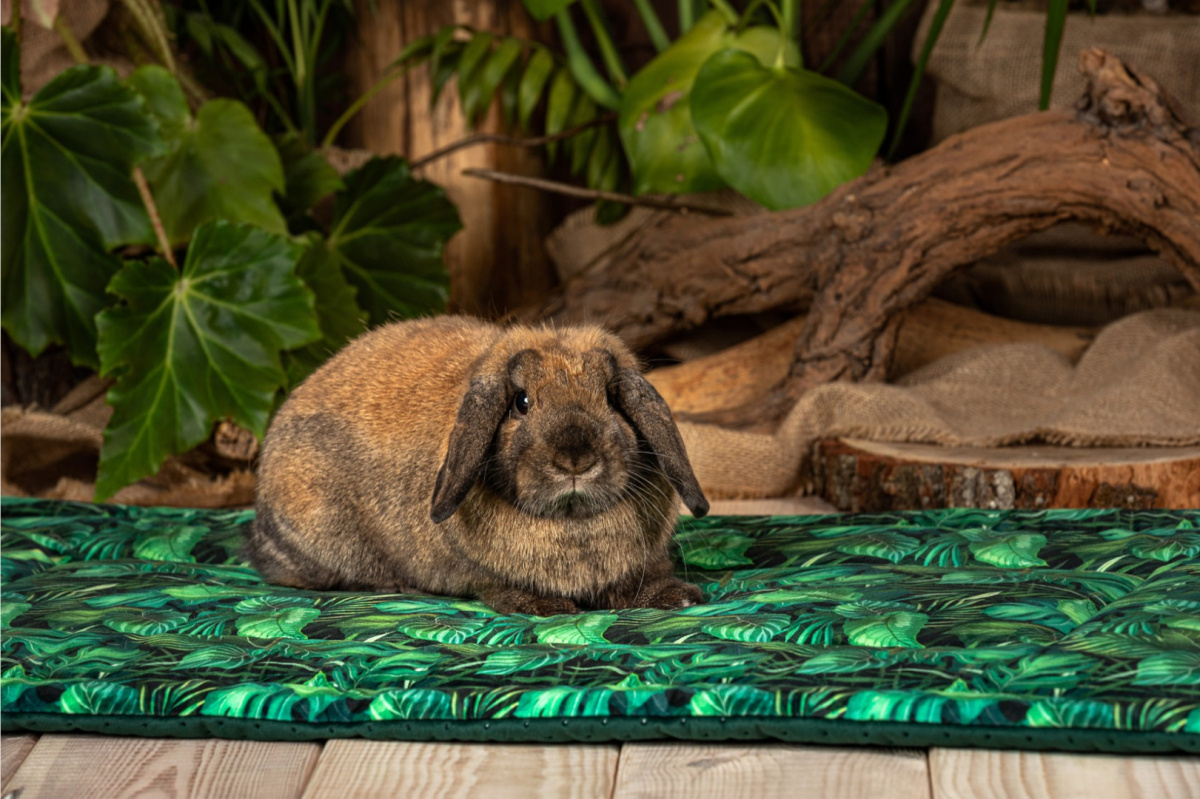 Mata do klatki 120x60 "Rajski Ogród" dla królików, świnek morskich