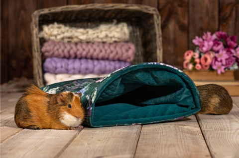 Sleeping bag for guinea pigs, rats, pygmy hedgehogs, rabbits