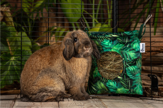 Hay feeder for guinea pigs, rabbits, chinchillas