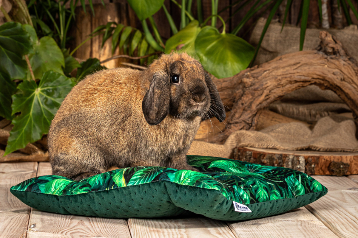 Poduszka pikowana L "Rajski Ogród" 35x40cm dla królików, świnek morskich