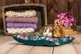 Pikowana poduszka dla królików, świnek morskich, fretek