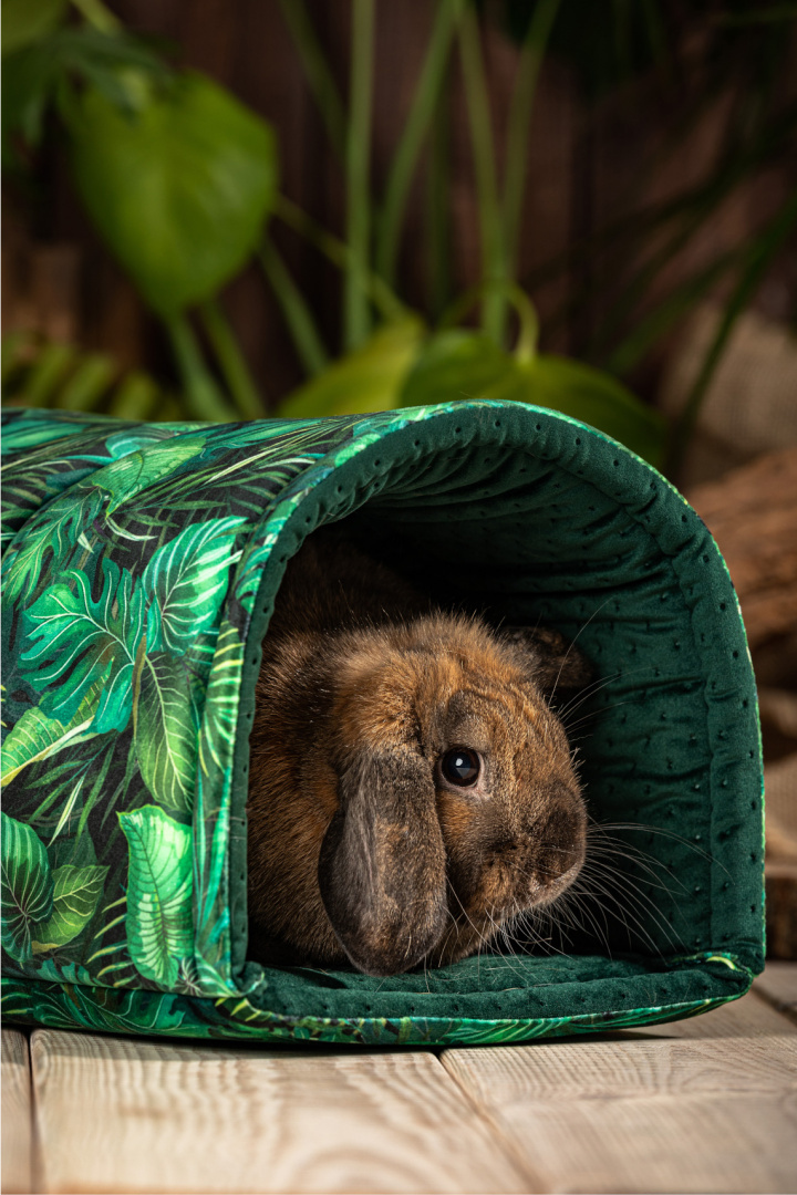 Tunel półokrągły XL "Rajski Ogród" dla królików, fretek