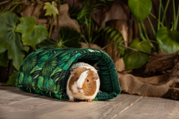 Semi-circular tunnel for guinea pigs, chinchillas, pygmy hedgehogs