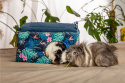 Single-entry house for guinea pigs, rats, chinchillas