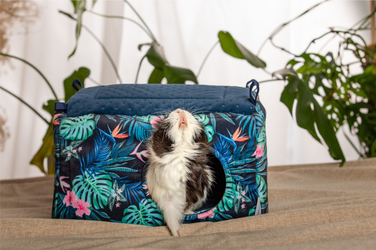 A hay rack with a flap "Paradise Garden" for rabbits, guinea pigs, chinchillas, degus A hay rack with a flap "Paradise Garden" for rabbits, guinea pigs, chinchillas, degus