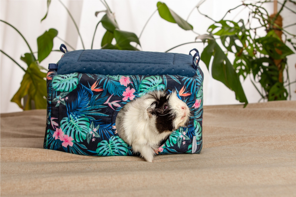 A hay rack with a flap "Paradise Garden" for rabbits, guinea pigs, chinchillas, degus A hay rack with a flap "Paradise Garden" for rabbits, guinea pigs, chinchillas, degus