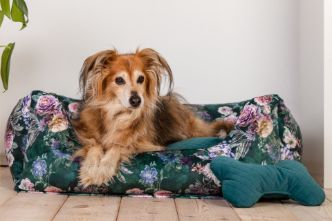 Dog bed with removable cover