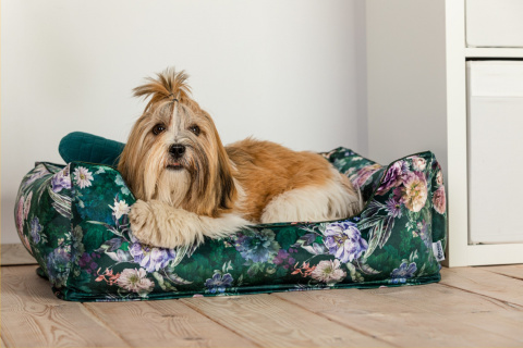 Dog bed with removable cover