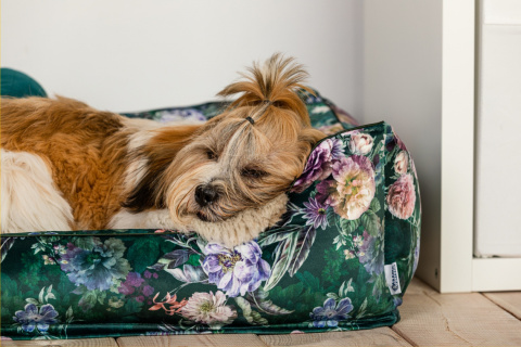 Dog bed with removable cover