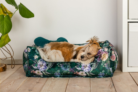 Dog bed with removable cover