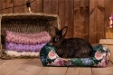 Cuddle Cup "Romantic Garden" for guinea pigs, rabbits, rats, pygmy hedgehogs