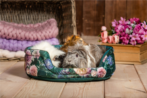 Cuddle Cup bed for guinea pigs, rabbits, rats, pygmy hedgehogs