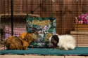 Cage mat for rabbits, guinea pigs, rats, chinchillas, ferrets, pygmy hedgehogs, cage underlay