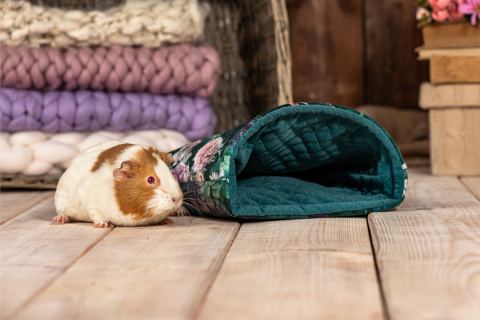 Sleeping bag for guinea pigs, rats, pygmy hedgehogs, rabbits