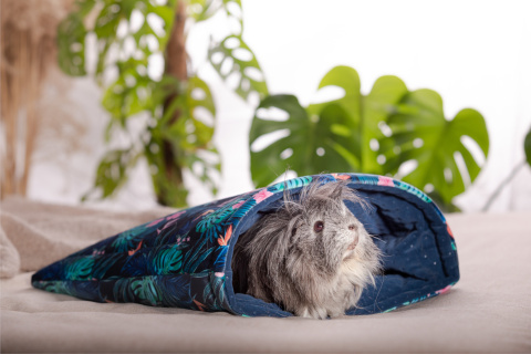 Sleeping bag for pygmy hedgehogs, guinea pigs, degus