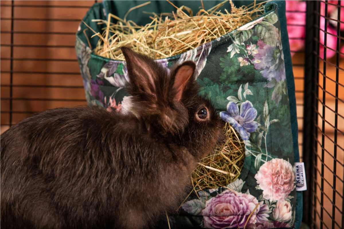 A hay rack with a flap "Romantic Garden" for rabbits, guinea pigs, chinchillas, degus