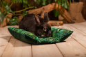 Poduszka Hot-Dog "Rajski Ogród" dla królików, fretek