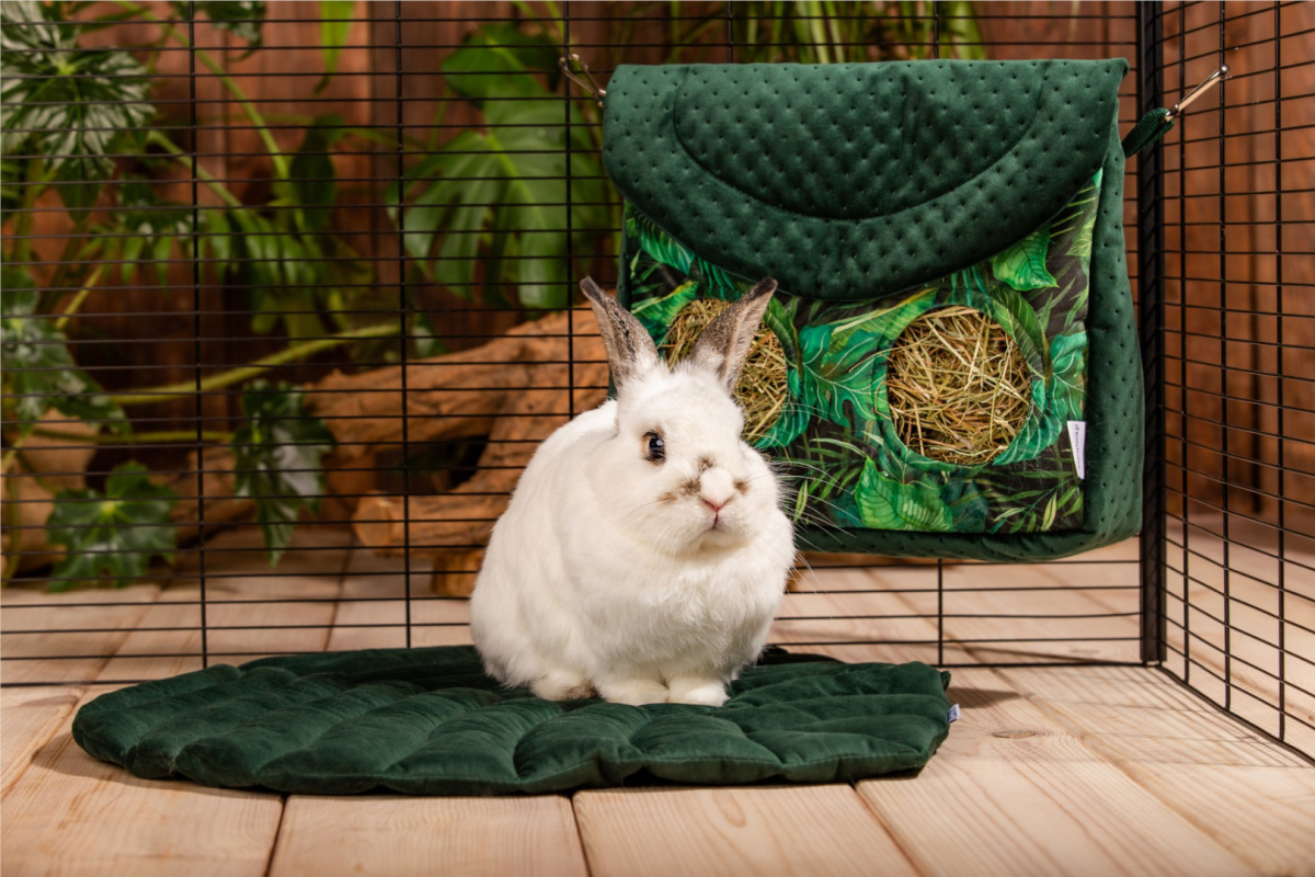 A hay rack with a flap "Paradise Garden" for rabbits, guinea pigs, chinchillas, degus A hay rack with a flap "Paradise Garden" for rabbits, guinea pigs, chinchillas, degus