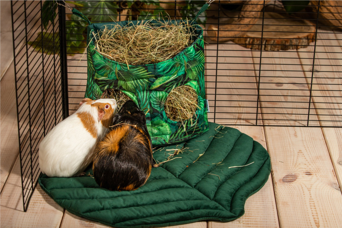 A hay rack with a flap "Paradise Garden" for rabbits, guinea pigs, chinchillas, degus