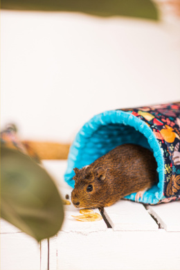 Semi-circular tunnel "Forest Animals" for guinea pigs, chinchillas, rats