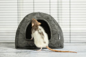 Domek dla szczurów