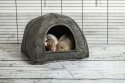 House for guinea pigs, rabbits, ferrets, pygmy hedgehogs, chinchillas