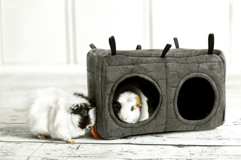 Wide house with two entrances for chinchillas, rats, degus, guinea pigs