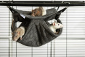 Honeycomb hammock for chinchillas, degus, rats