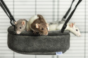 Rodent saucepan swing with adjustable handles - toy for chinchillas, degus, rats