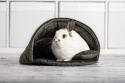Shell bed for rabbits, guinea pigs, rodents