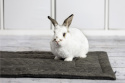 Cage mat for rabbits, guinea pigs and other rodents - Pet Friend