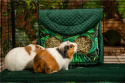 Cage mat for rabbits, guinea pigs, pygmy hedgehogs, cage underlay