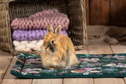 Cage mat for rabbits, guinea pigs, pygmy hedgehogs, cage underlay