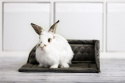 Corner bed for rabbit, guinea pig, chinchilla, rodents - rabbit and guinea pig accessories