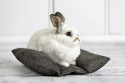 Poduszka Hot-Dog dla królików, fretek (Pet Friendly) - akcesoria dla królika, legowisko dla królika