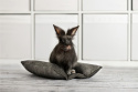 Hot-Dog pillow for rabbits, ferrets - rabbit accessories