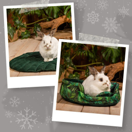 Leaf cushion + round bed "Paradise Garden". - set for guinea pigs, rabbits
