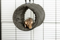 Round tunnel for rats, chinchillas, guinea pigs, degus