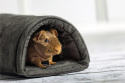 Semi-circular tunnel for guinea pigs, chinchillas, pygmy hedgehogs, rabbits