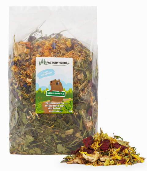 Factory Herbs herbal mix for Guinea Pigs 500g