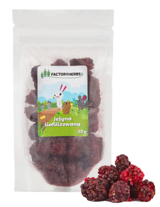 Factory Herbs freeze-dried blackberry 20g - snack for rabbit, guinea pig, chinchilla