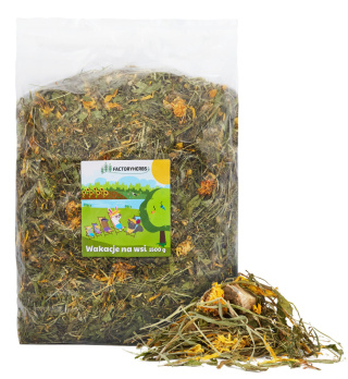 Factory Herbs Wakacje na wsi 1,5kg - mieszanka traw, ziół i kwiatów