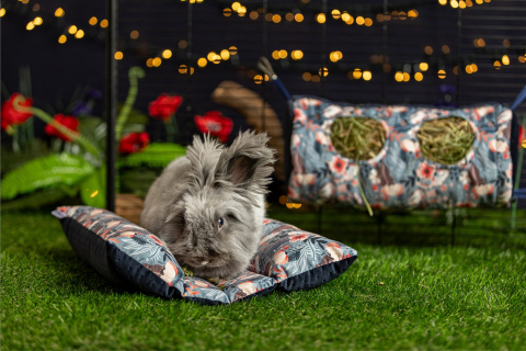 Hot-Dog pillow for rabbits, ferrets - rabbit accessories