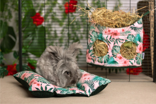 Hot-Dog pillow for rabbits, ferrets - rabbit accessories